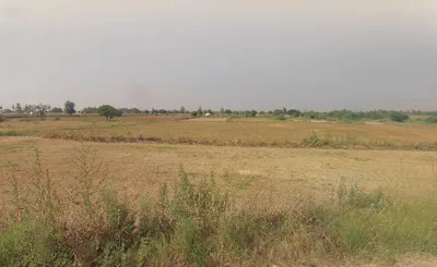 Khurja, Uttar Pradesh 203131, India preview 3