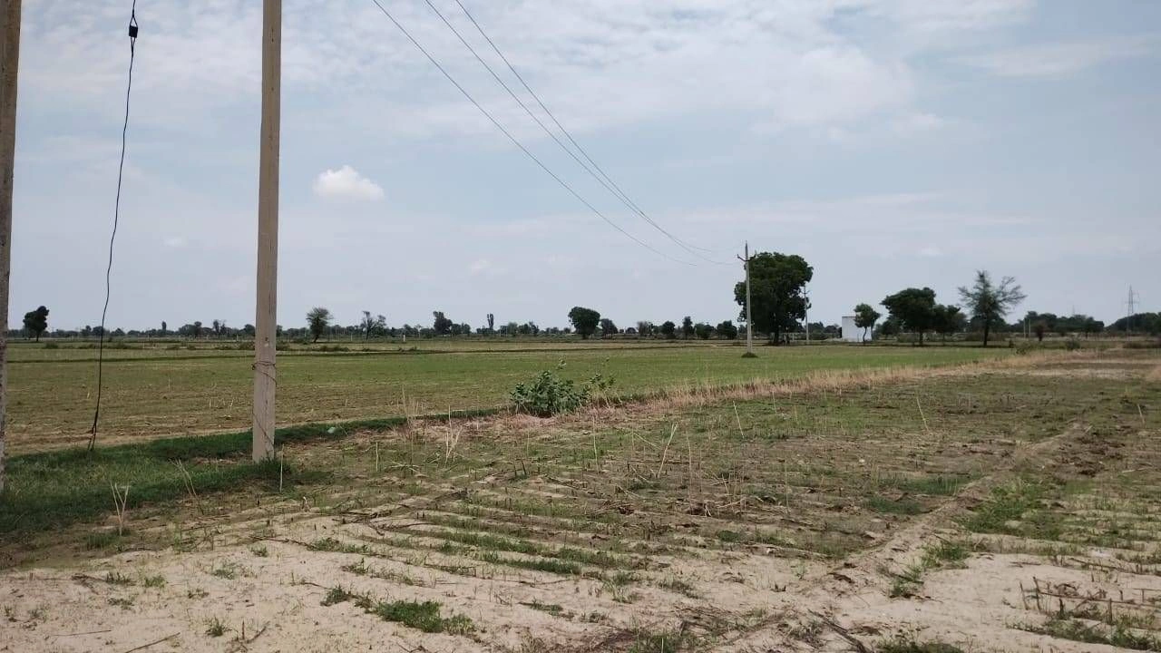 G334+MV Rataur, Ambala, Haryana, India