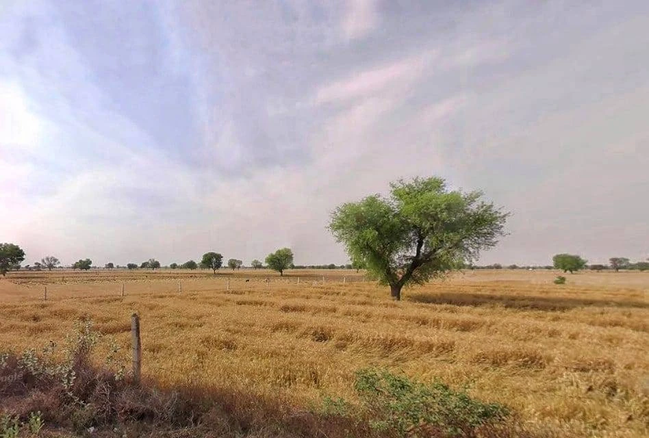 Dadar, Rajasthan 301001, India