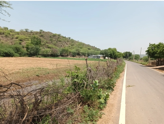 8QQ8+4GF, Khohra, Kajota, Rajasthan 321633, India