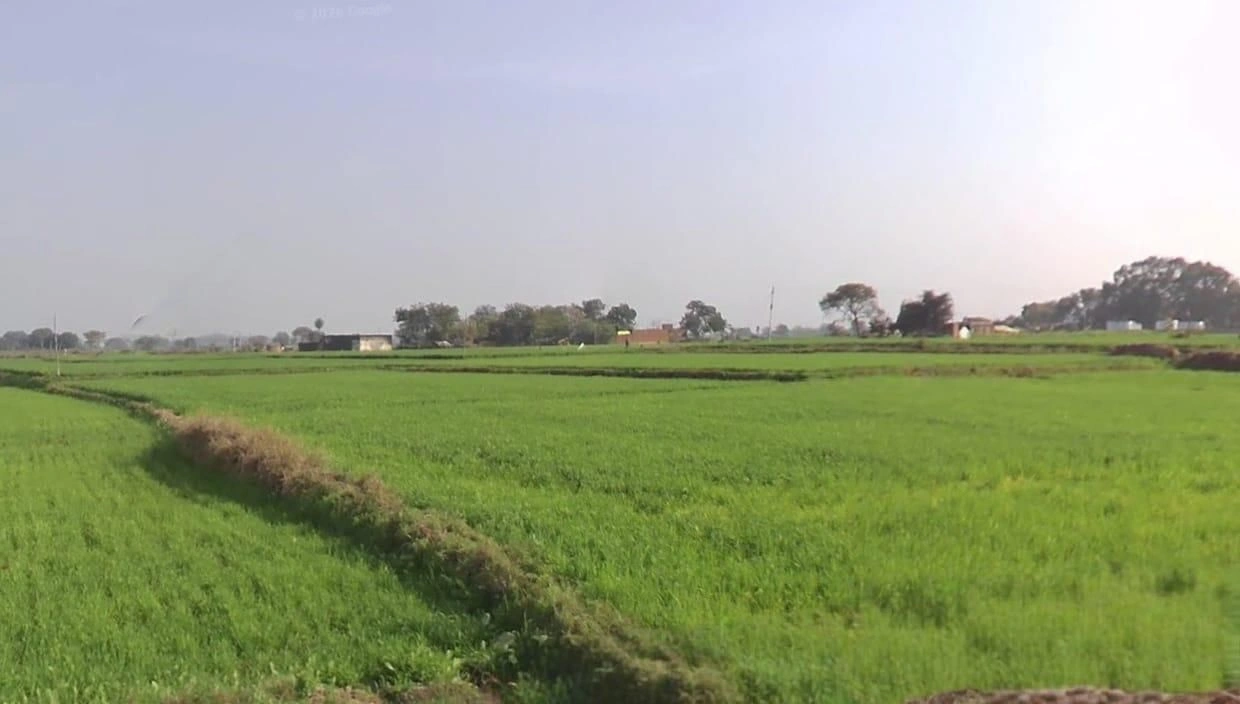 Syau, Madhya Pradesh, India