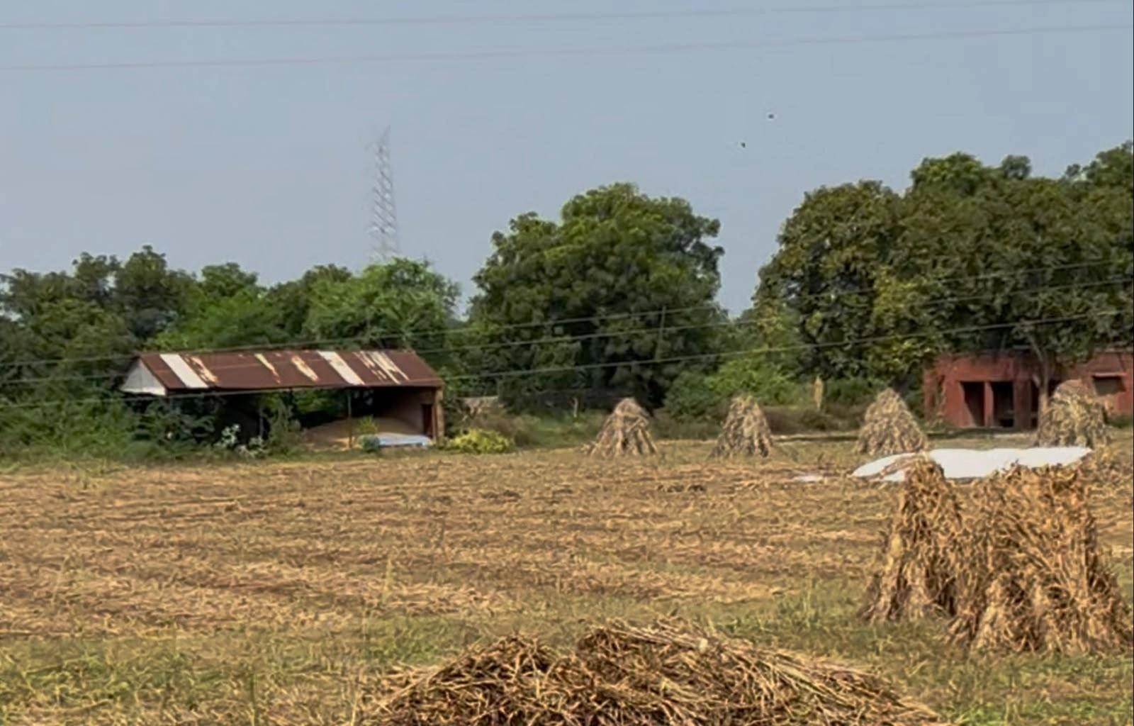 72H4+JM Bhango, Nuh, Haryana, India - Photo 2