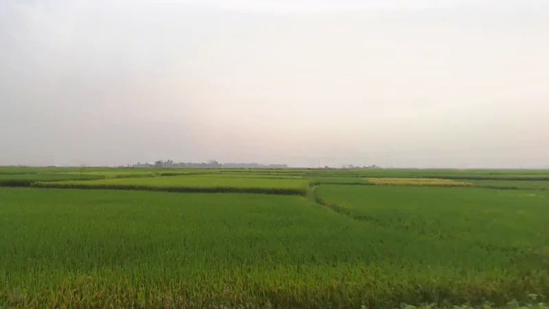 Anara, West Bengal 722134, India preview 3