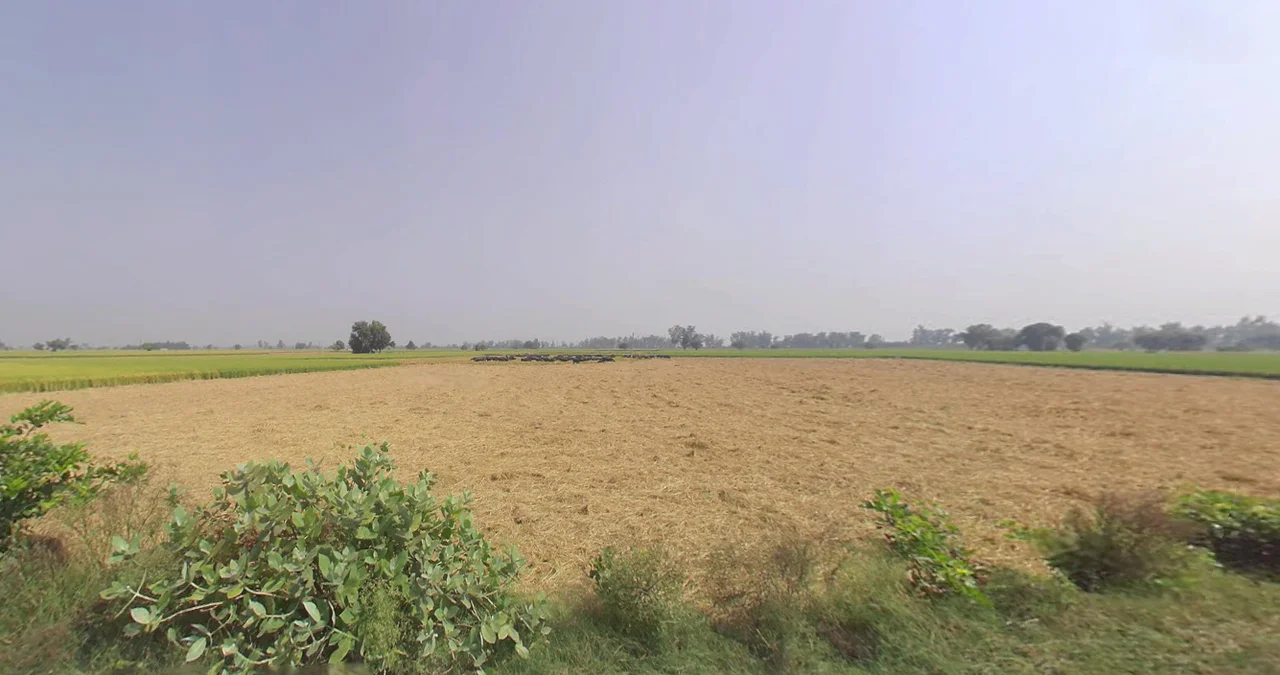 Bareta, Punjab 151501, India preview 2