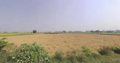 Bareta, Punjab 151501, India preview 2