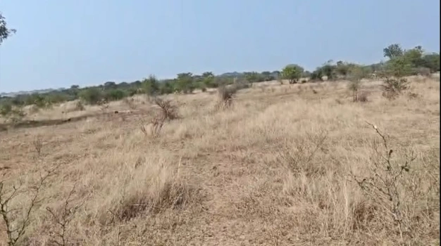 MQWV+2W Padamati Palle, Telangana, India