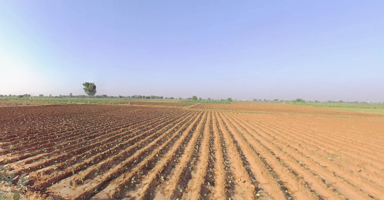 Sodvadar, Gujarat, India