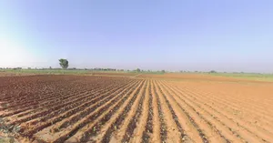 Sodvadar, Gujarat, India preview 2