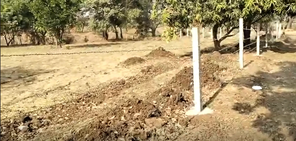 PWP8+GHG, Palghar, Nandgaon T. Manor, Maharashtra 401403, India