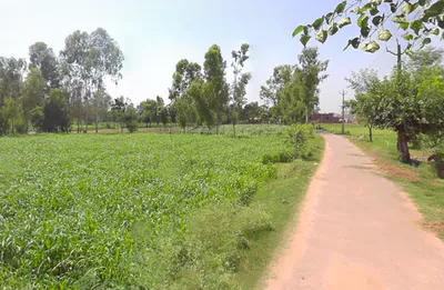 Gajraula, Uttar Pradesh, India preview 2