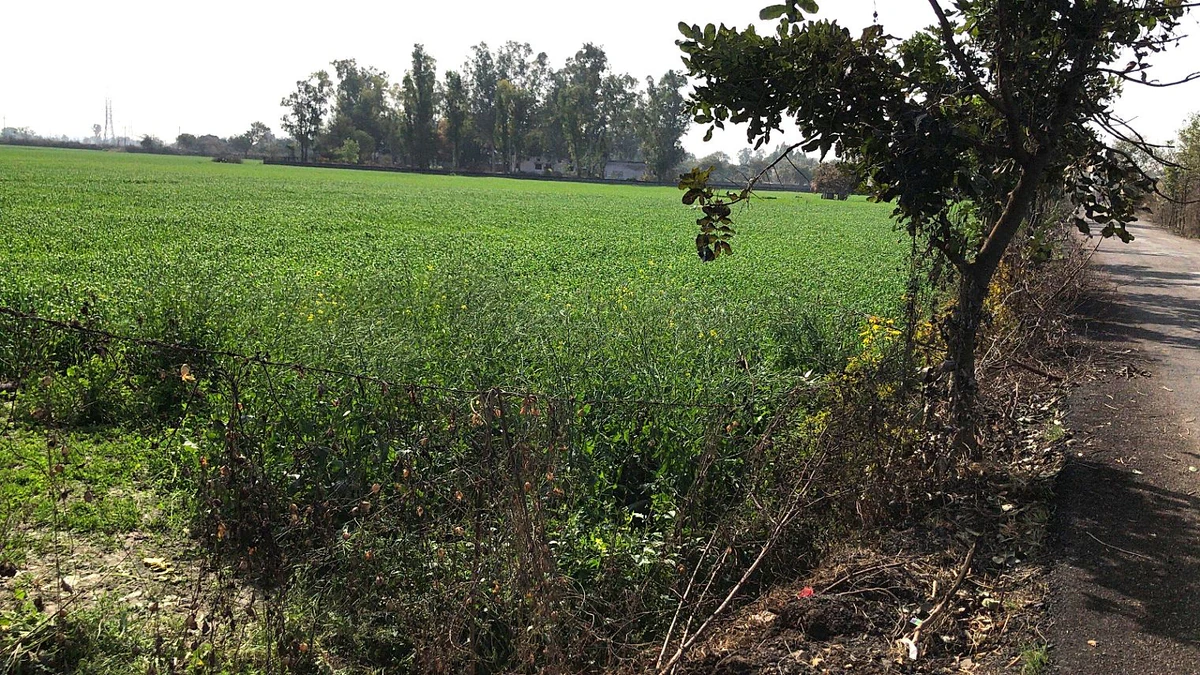 Kharkhoda, Haryana 131402, India