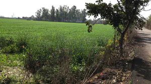 Kharkhoda, Haryana 131402, India preview 3