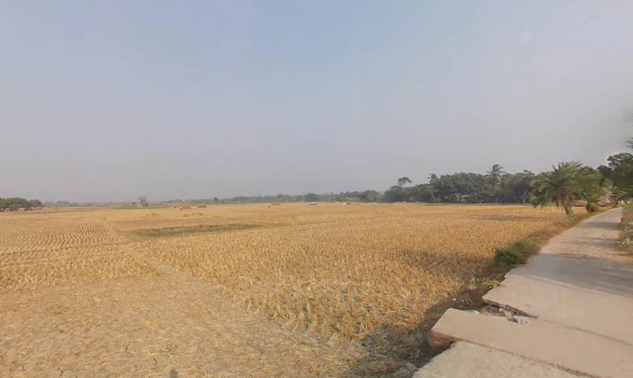 Action Area II, Newtown, New Town, West Bengal, India