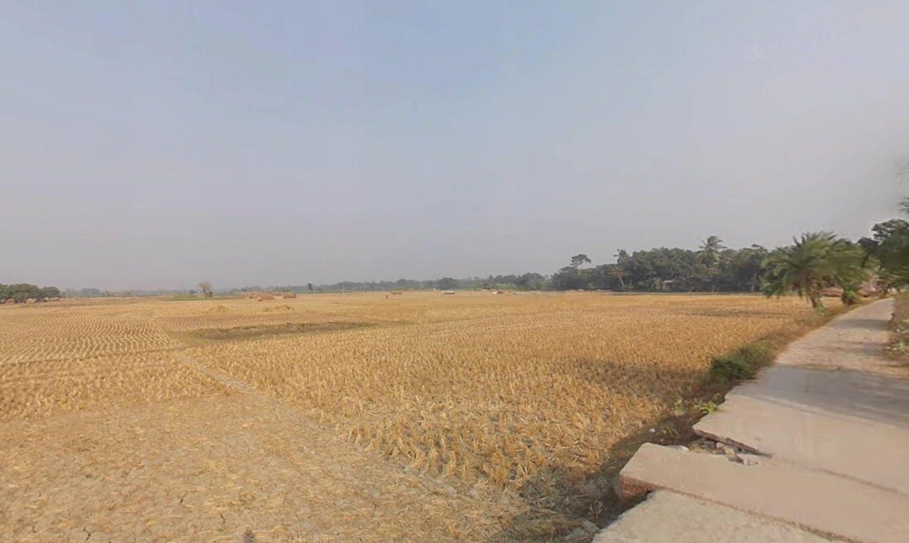 Action Area II, Newtown, New Town, West Bengal, India