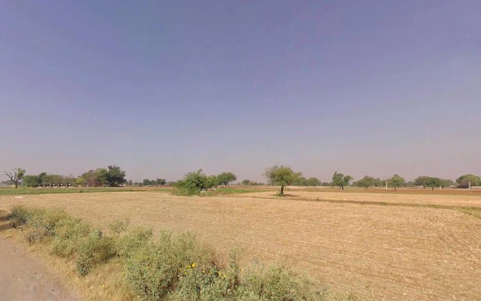 Kokawas, Rajasthan 301427, India