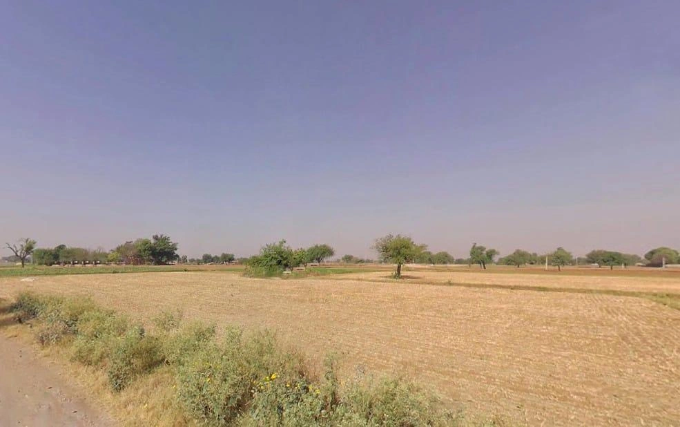 Kokawas, Rajasthan 301427, India