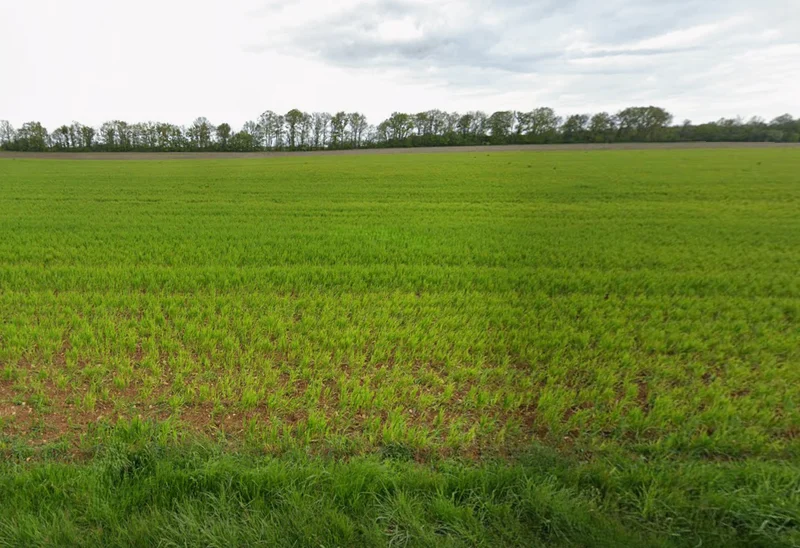 Kharagpur, West Bengal, India preview 3