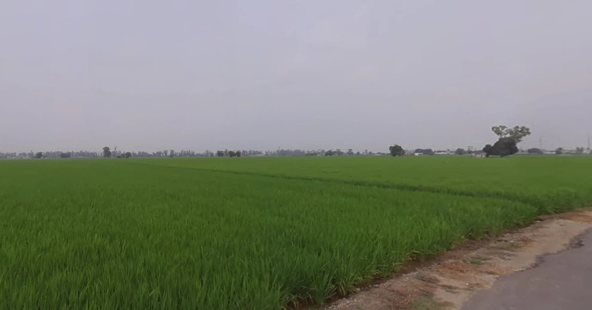 8Q9R+35 Rajkot, Gujarat, India