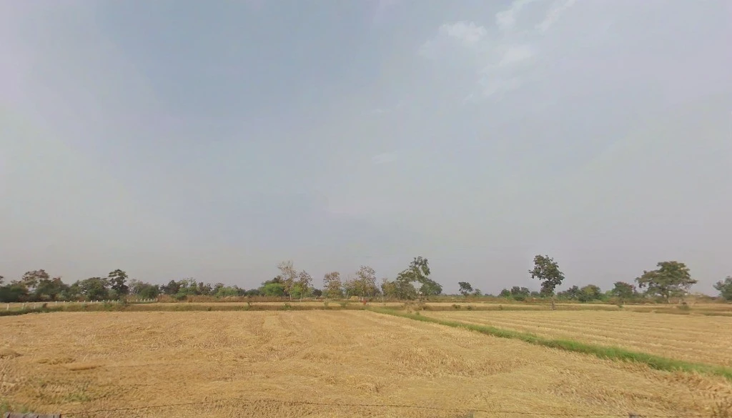 Pendari, Chhattisgarh 495003, India
