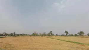 Pendari, Chhattisgarh 495003, India preview 3