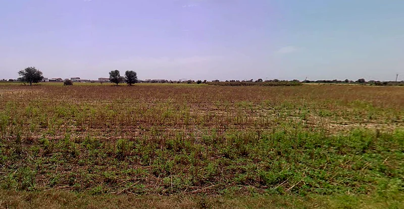 Endla, Gujarat 384285, India preview 3