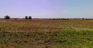 Endla, Gujarat 384285, India preview 3