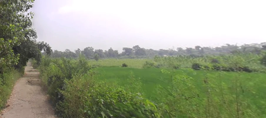 Dadwa, Uttar Pradesh 247129, India