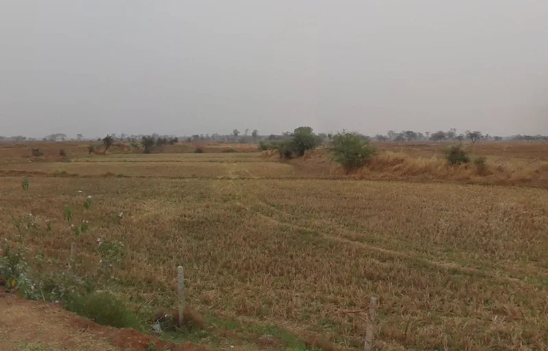 Tuiyapani, Madhya Pradesh, India preview 2