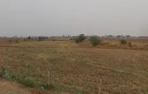 Tuiyapani, Madhya Pradesh, India preview 2