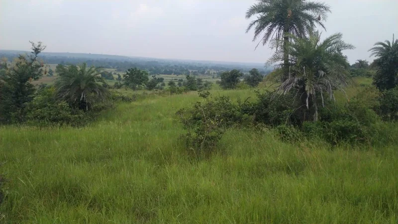 Sankota, Madhya Pradesh, India preview 3