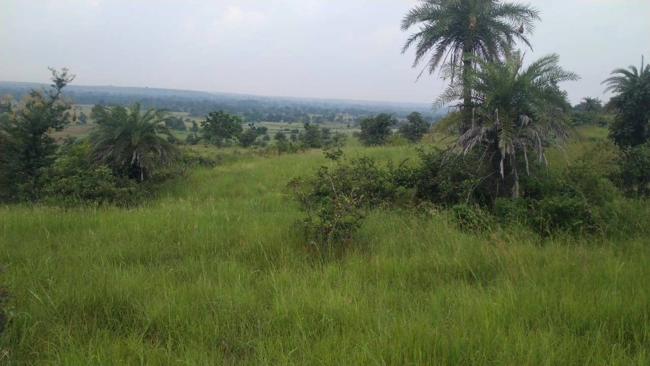 Sankota, Madhya Pradesh, India