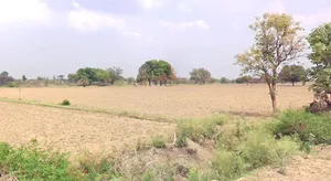Borawan, Madhya Pradesh 451228, India preview 3