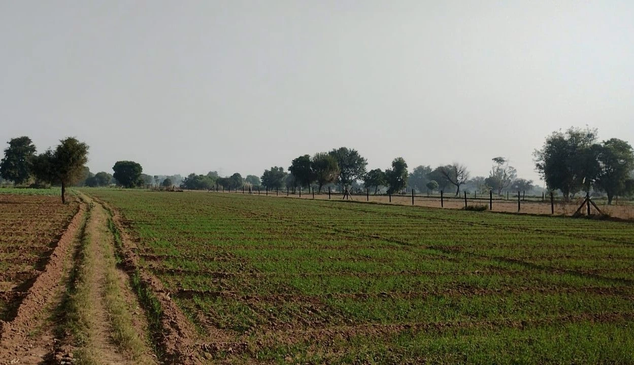 Jairoli, Rajasthan, India