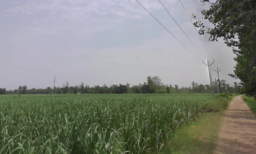 Datiyana, Uttar Pradesh, India