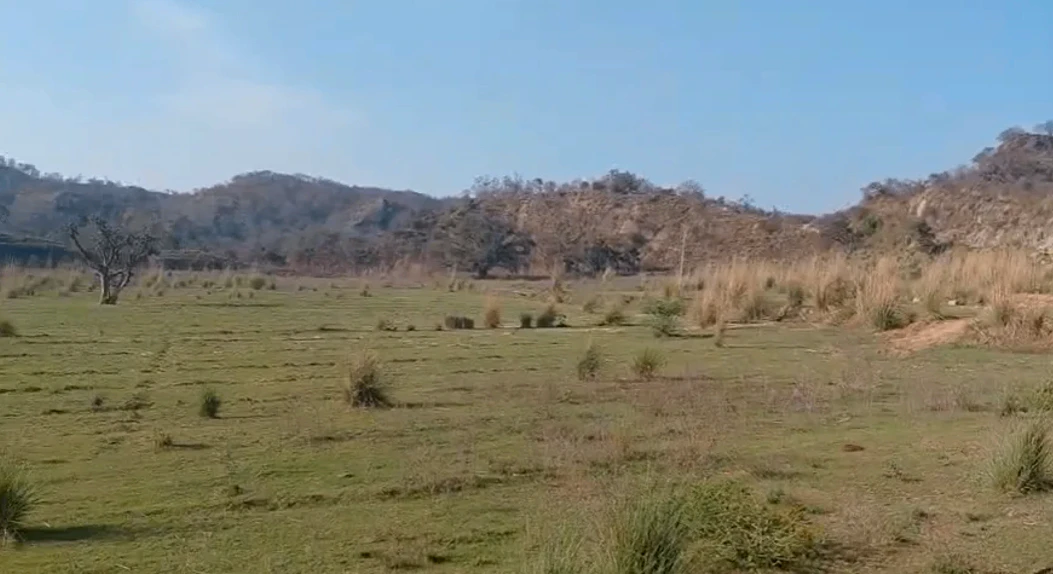 Nahan, Himachal Pradesh 173001, India