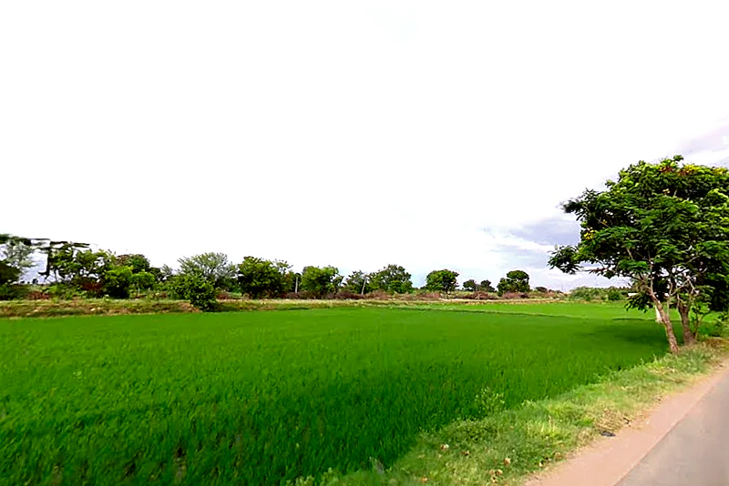 Makthal, Telangana 509208, India preview 6