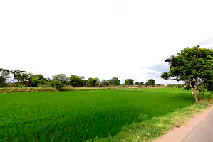 Makthal, Telangana 509208, India preview 6