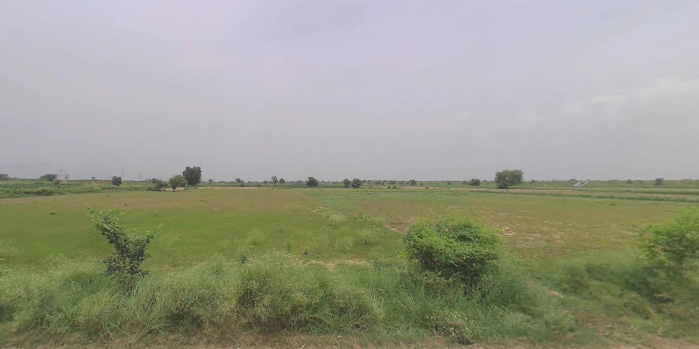 Meham, Haryana 124112, India