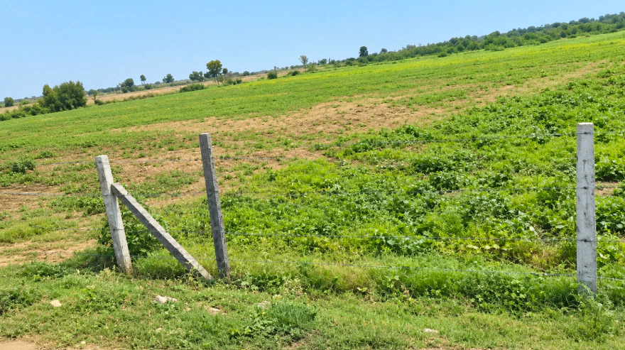 J2RQ+3Q9, Yadadri Bhuvanagiri, Alair, Telangana 508101, India