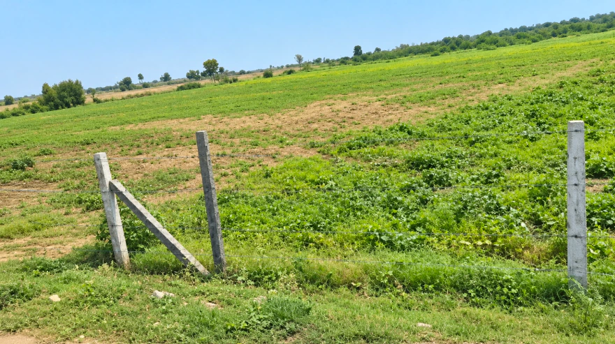 J2RQ+3Q9, Yadadri Bhuvanagiri, Alair, Telangana 508101, India - Photo 2