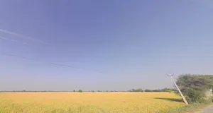 Bankura, West Bengal, India preview 2