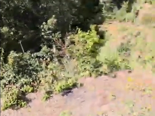 9H5X+H2R, Bhowali Range, Uttarakhand, India