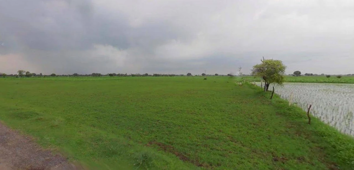 Najibabad, Uttar Pradesh 246763, India