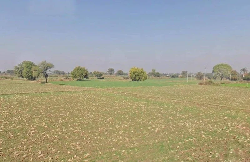 7QC6+6FM sadabahar farm house opposite shekhawati dhaba,ballop,bundi road kota, Ballop, Rajasthan 323021, India preview 3