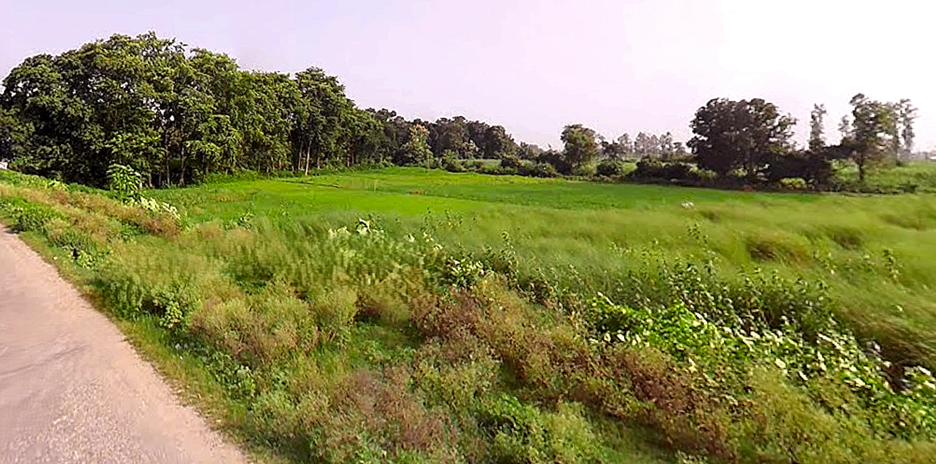 NH 730, Maharaj Nagar, Lakhimpur, Uttar Pradesh, India