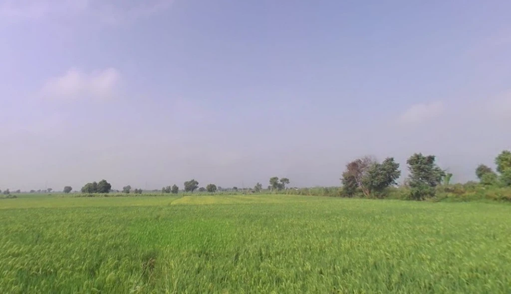 Jewar Airport Link Expy, Uttar Pradesh, India