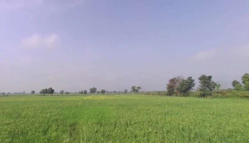 Jewar Airport Link Expy, Uttar Pradesh, India preview 3