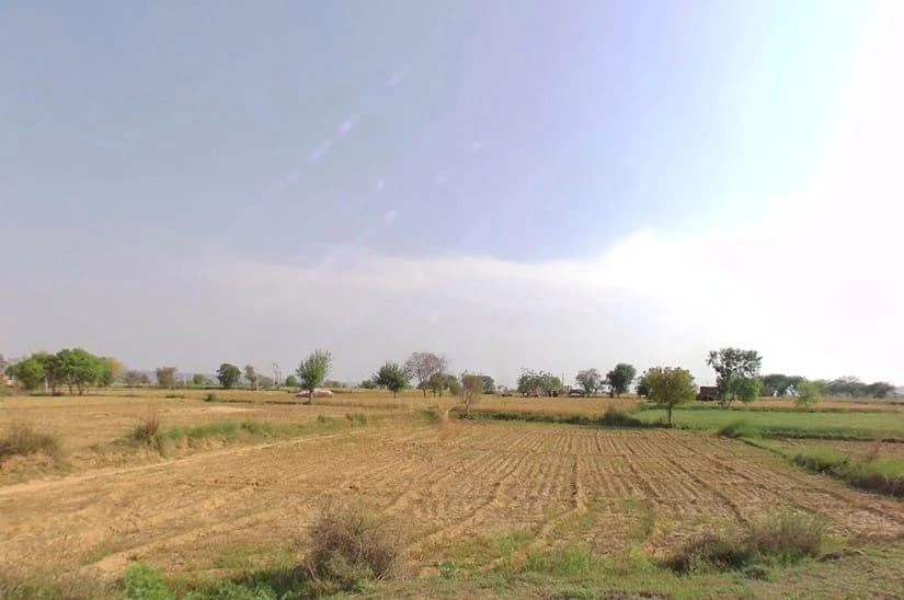 Baghora, Rajasthan 301405, India