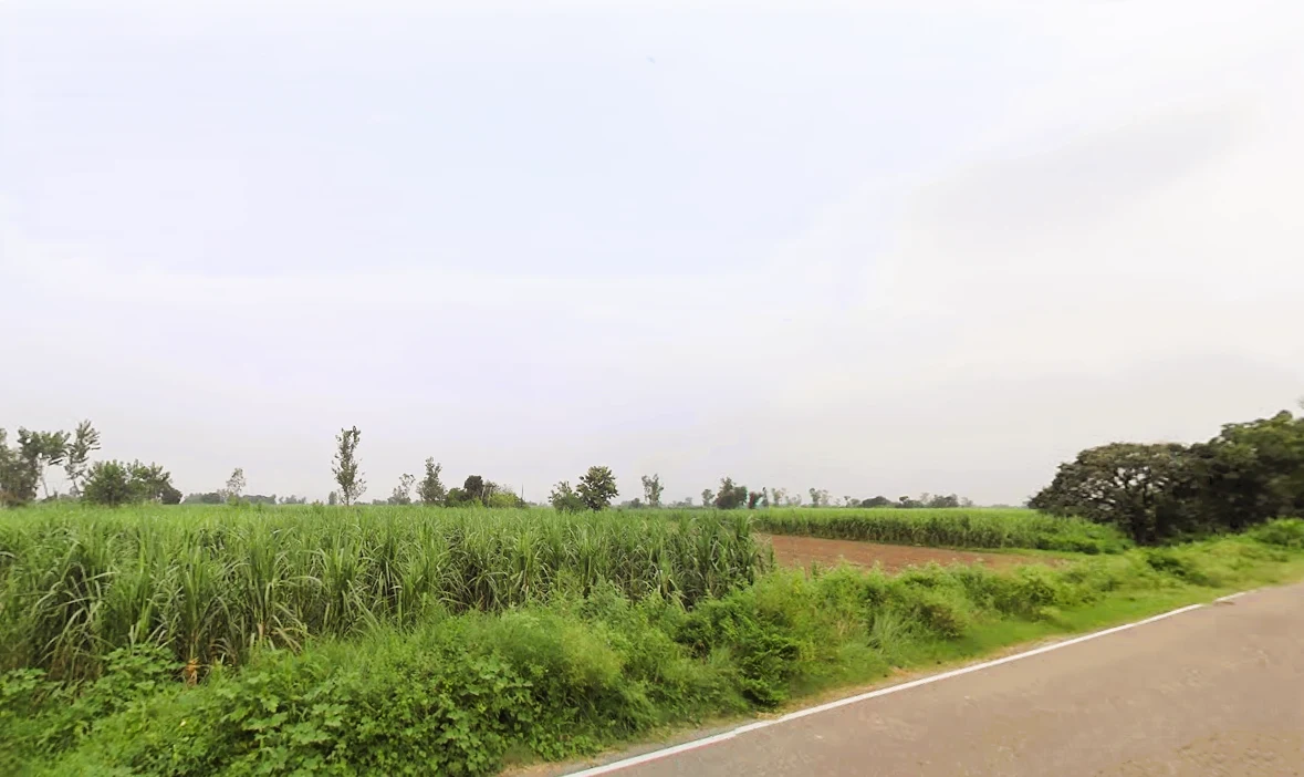 Sonta, Alawalpur, Uttar Pradesh, India