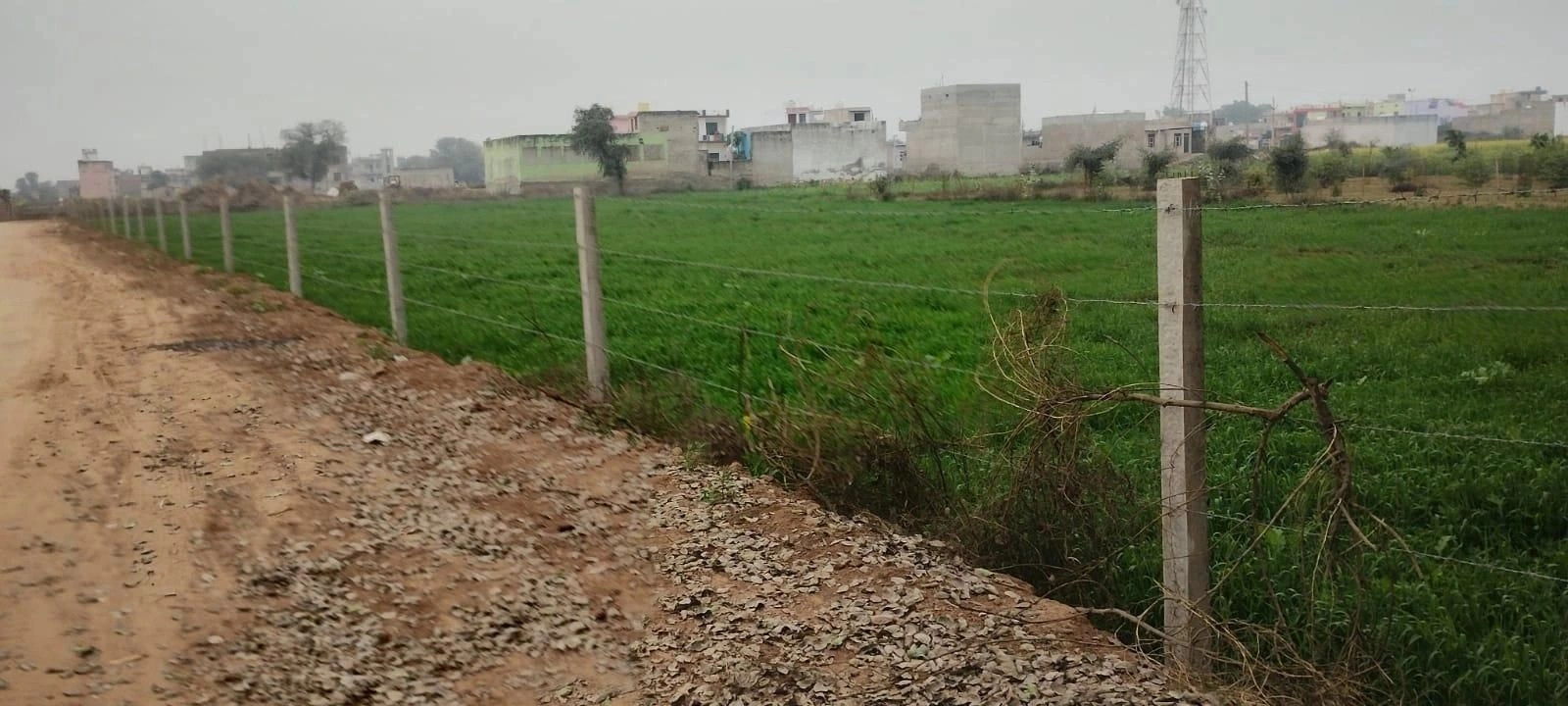 Tekri, Madhya Pradesh 481222, India